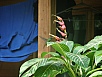 P2191191.jpg