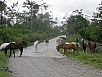 P2191274.jpg