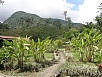 P2191278.jpg
