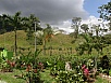 P2191286.jpg