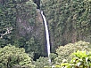 P2191290.jpg
