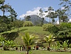 P2191343.jpg