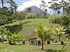 P2191350.jpg