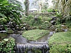 P2191430.jpg