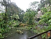 P2201520.jpg