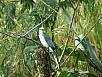 P2201554.jpg