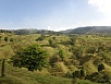 P2201594.jpg