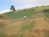 P2201600.jpg