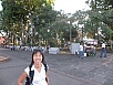 P2211618.jpg