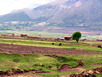Heilige Tal der Inka (Ruinen und Markt on Pisac und Chincero und Ollantaytambo)