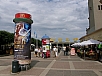 271.jpg