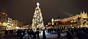 IMG_20231208_212356.jpg