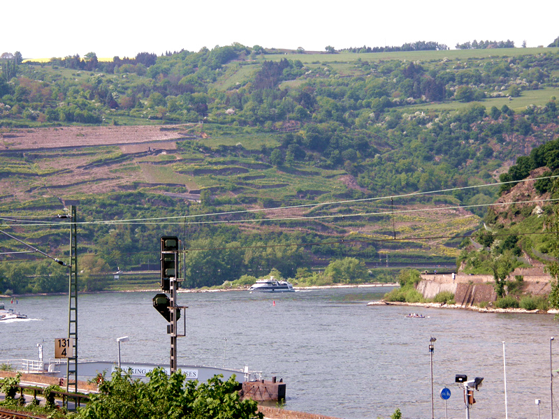 P5010034.JPG