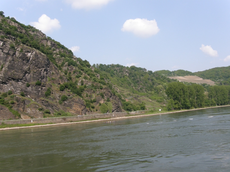 P5010052.jpg