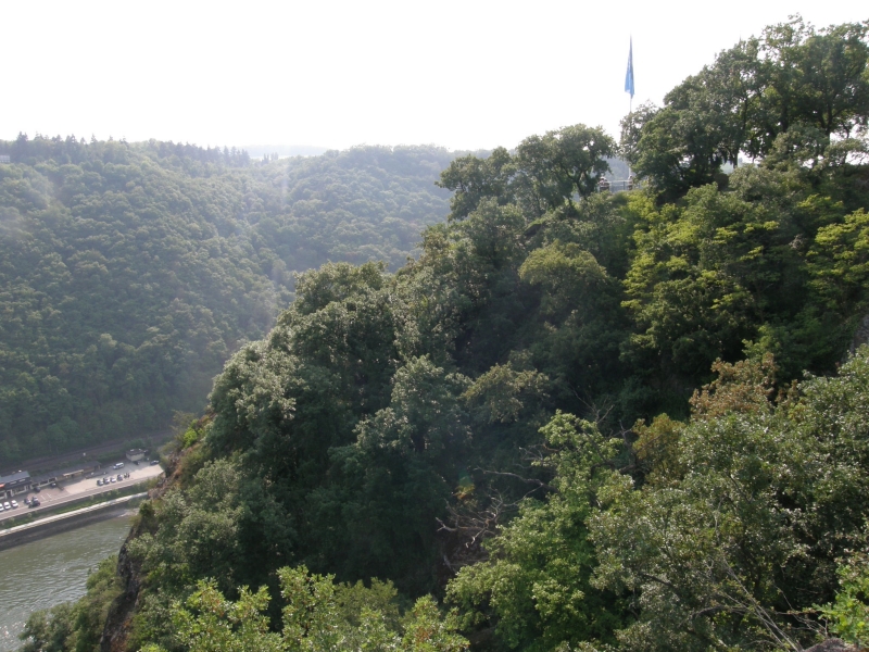 P5010091.jpg