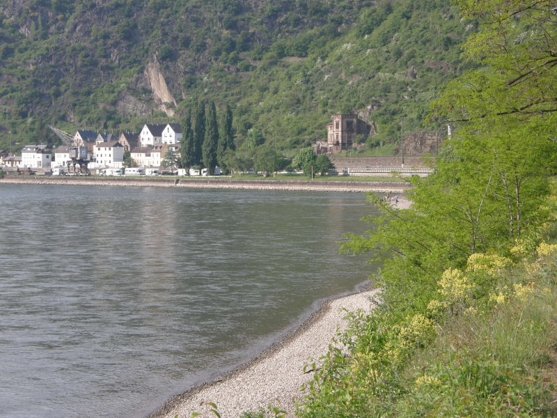 P5010094.jpg