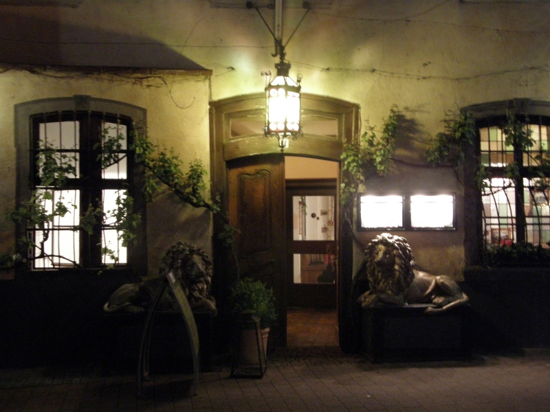 P5010181.jpg