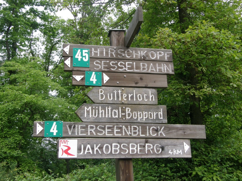 P5020211.jpg