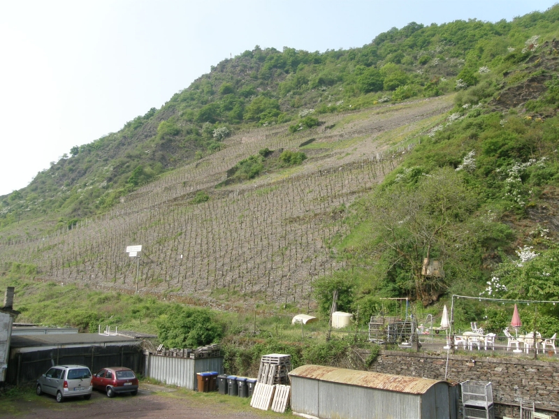 P5020228.jpg
