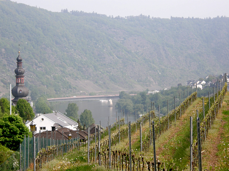 P5020257.JPG