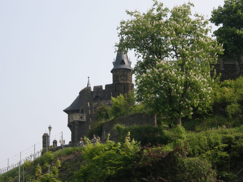 P5020259.jpg