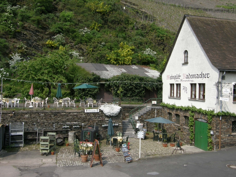 P5020290.jpg