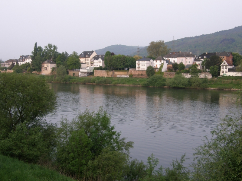 P5030546.jpg