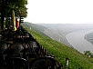 P5020203.JPG