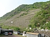 P5020228.jpg