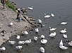 P5020232.jpg