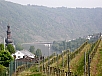 P5020257.JPG