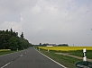 P5020292.jpg