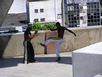 Capoeira Arts