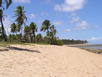 Green Coast (Linha Verde) - until Porto di Sauipe