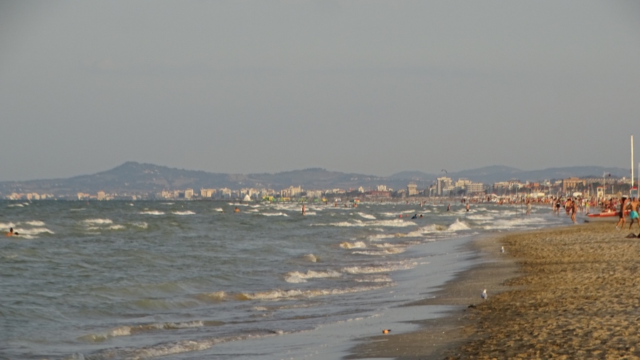 DSC03320.jpg