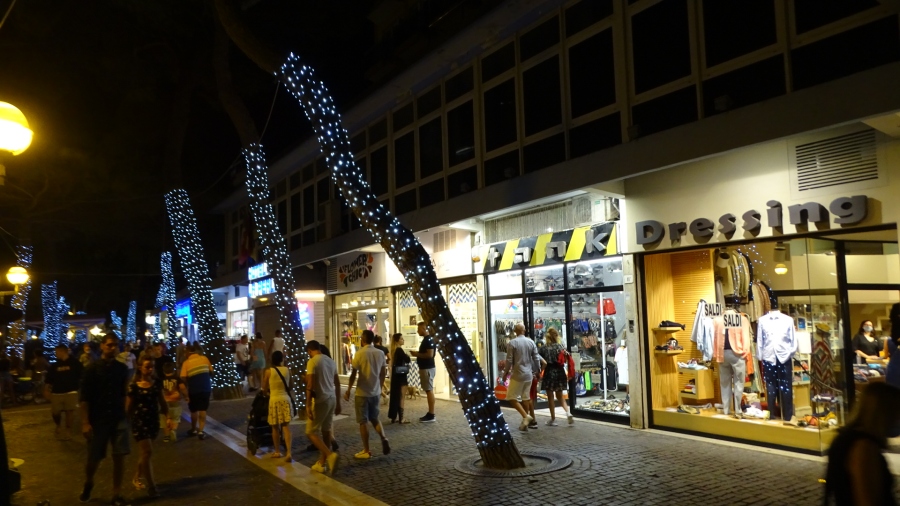 DSC03395.jpg