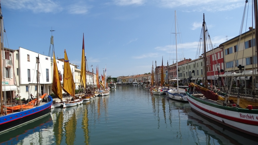 DSC03507.jpg