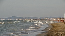 DSC03320.jpg
