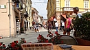 DSC03580.jpg