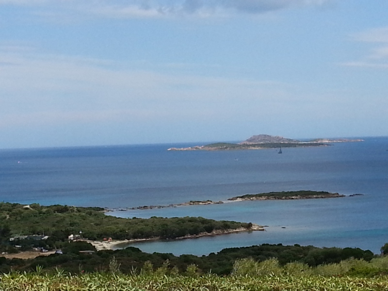 20140531_122011.jpg