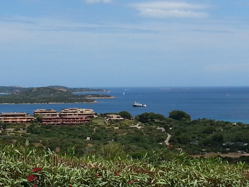 20140531_122017.jpg