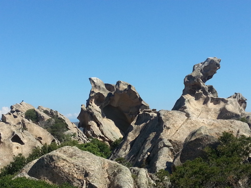 20140601_103020.jpg