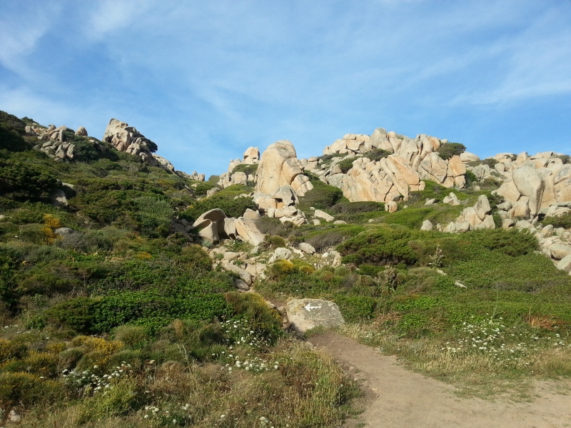 20140601_183427.jpg