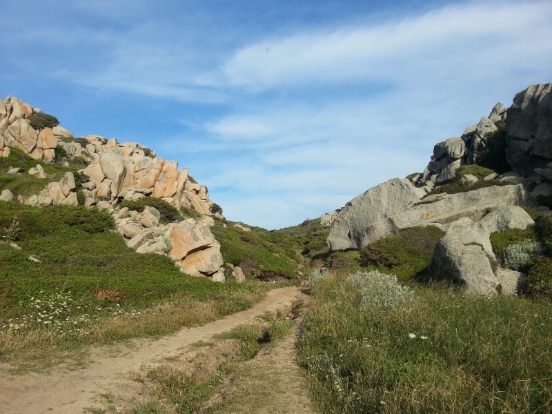 20140601_183432.jpg