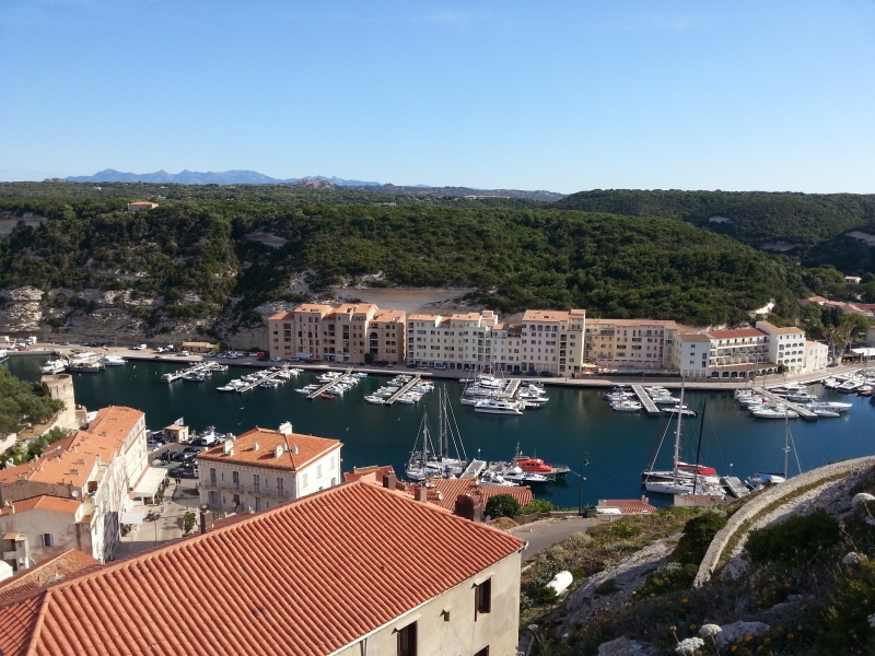 20140602_085318.jpg