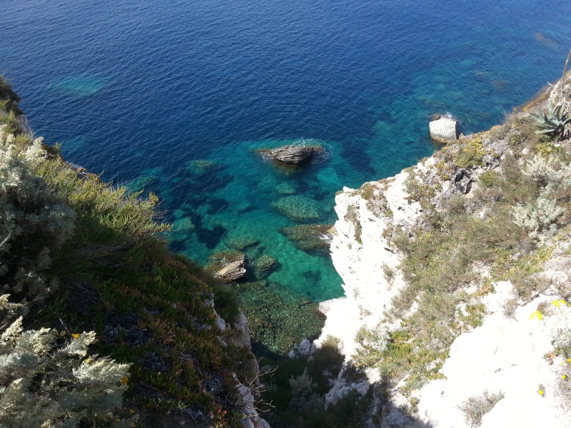 20140602_103003.jpg