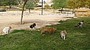 DSC07482.jpg