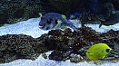 DSC07959.jpg