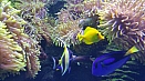 DSC08013.jpg