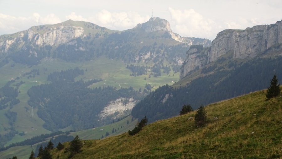 DSC06247.jpg